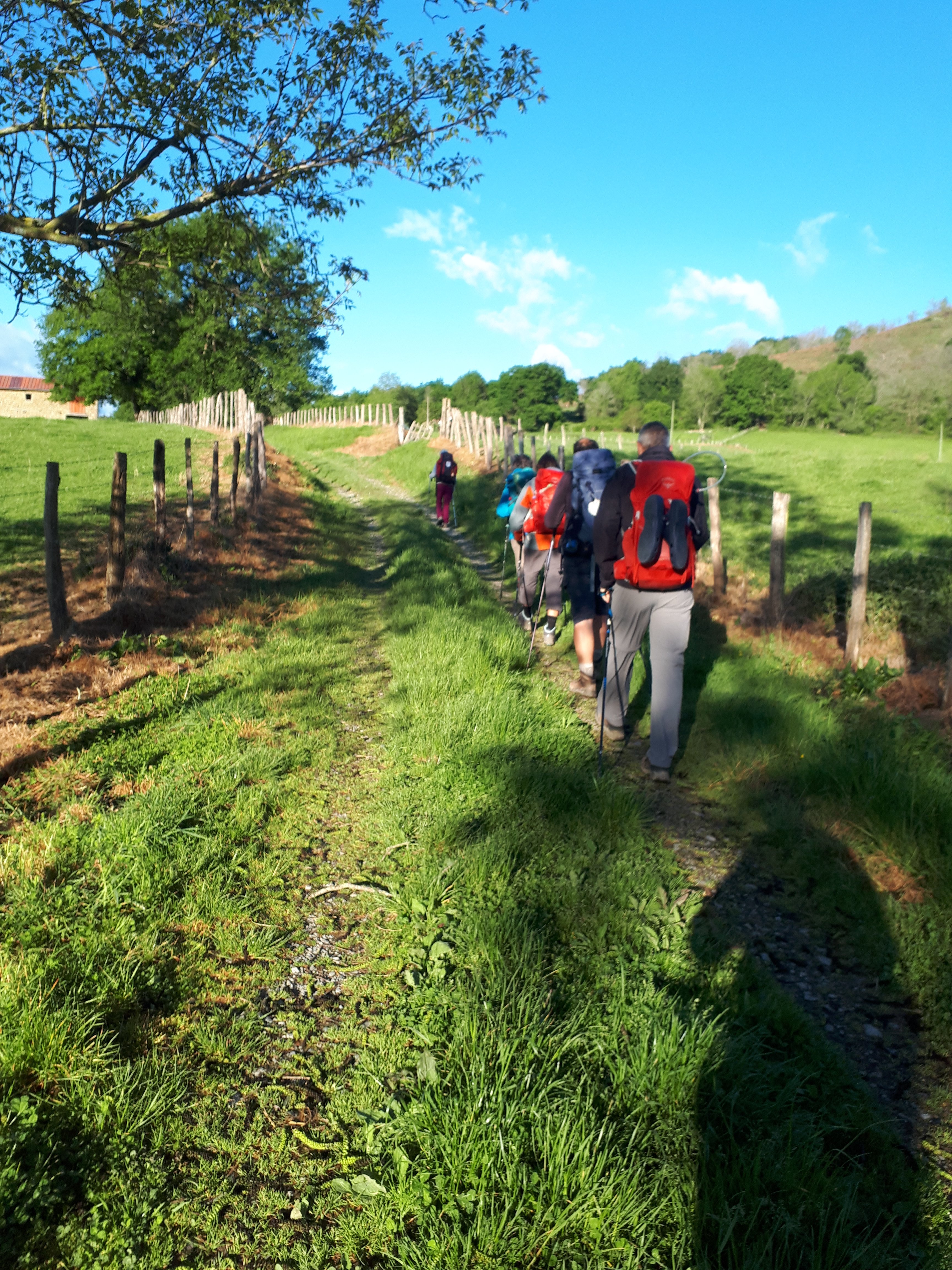 Pelgrims naar Compostella